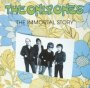 The Immortal Story - The Only Ones 