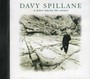 A Place Among The Stones - Davy Spillane