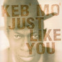 Just Like You - Keb' Mo