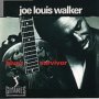 Louis Blues Survivor - Joe Louis Walker 