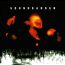 Superunknown - Soundgarden