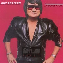 Laminar Flow - Roy Orbison