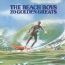 20 Golden Greats - The Beach Boys 
