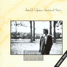 Brilliant Trees - David Sylvian