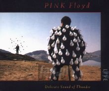 Delicate Sound Of Thunder: Live - Pink Floyd