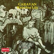 Waterloo Lily - Caravan