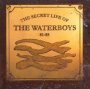 Secret Life Of The Waterboys - The Waterboys