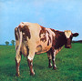 Atom Heart Mother - Pink Floyd