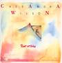 Point Of View - Cassandra Wilson