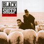 A Wolf In Sheep's Clothin - Black Sheep