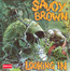 Looking In - Savoy Brown