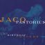The Birthday Concert - Jaco Pastorius