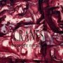 Forever Remixes - Cranes