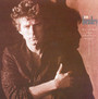 Building The Perfect Beast - Don Henley