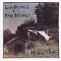 Ghost Of A Dog - Edie Brickell