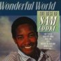 Wonderfull World - Sam Cooke