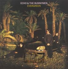 Evergreen - Echo & The Bunnymen