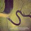 The Serpent's Egg - Dead Can Dance