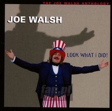 Joe Walsh Anthology - Joe Walsh