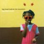 Beautiful World - Big Head Todd & Monsters