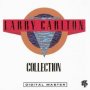 Collection - Larry Carlton