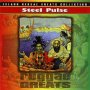 Reggae Greats - Pulse Steel