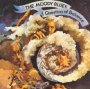 A Question Of Balance - The Moody Blues 