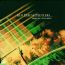 Songs For A Blue Guitar - Red House Painters