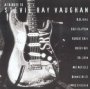 A Tribute To Stevie Ray Vaughan - Tribute to Stevie Ray Vaughan 