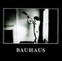 In The Flat Field - Bauhaus