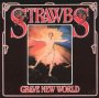 Grave New World - The Strawbs