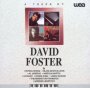 A Touch Of David Foster - David Foster