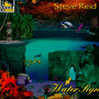 Water Sign - Reid Steve-Percussion,Conga,Tu