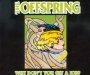 Why Don T You Get A Job? - The Offspring