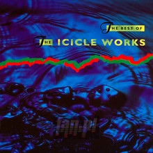 Best Of The Icicle Works - The Icicle Works - powiększ Best Of The Icicle Works - The Icicle Works