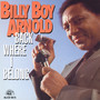 Back Where I Belong - Billy Boy Arnold 
