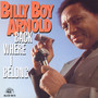 Back Where I Belong - Billy Boy Arnold 