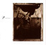 Surfer Rosa/Come On Pilgrim - The Pixies Surfer Rosa/Come On Pilgrim - The Pixies