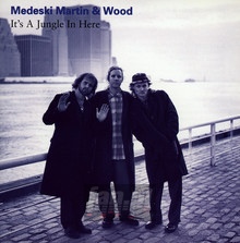 It's A Jungle In Here - Medeski Martin & Wood