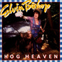 Hog Heaven - Elvin Bishop