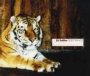Tiger Trance - DJ Sebbo