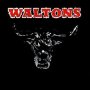 Essential Country Bullshit - The Waltons