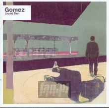 Liquid Skin - Gomez Liquid Skin - Gomez