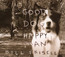 Good Dog, Happy Man - Bill Frisell