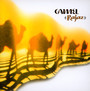 Rajaz - Camel