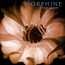 Night - Morphine