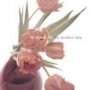 The Amateur View - To Rococo Rot