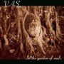 In The Garden Of Souls - Vas