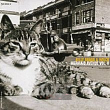 Mermaid Avenue vol 2 - Billy Bragg / Wilco