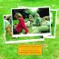 What We Did On Our Holidays - Fairport Convention What We Did On Our Holidays - Fairport Convention
